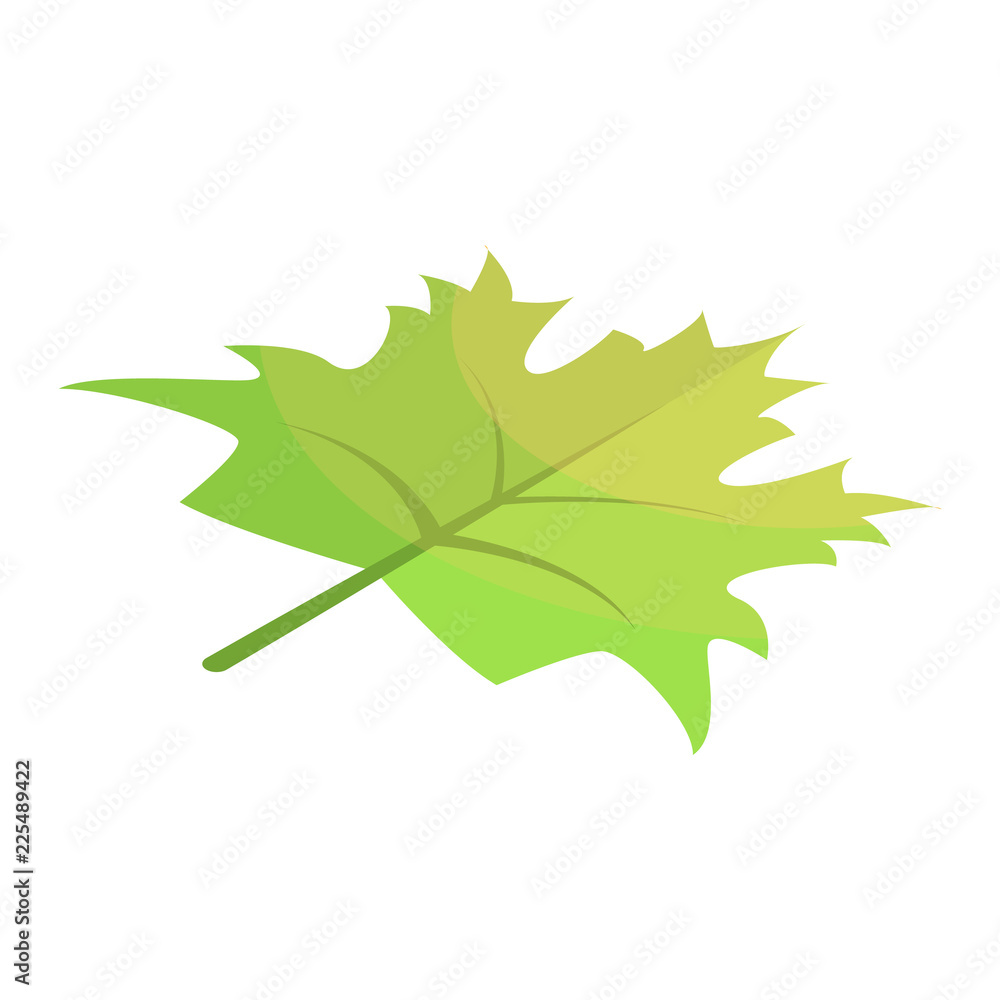 Poster green maple leaf icon. isometric of green maple leaf vector icon for web design isolated on white ba