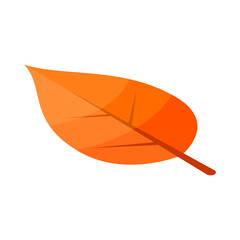 Poplar yellow tree leaf icon. Isometric of poplar yellow tree leaf vector icon for web design isolated on white background