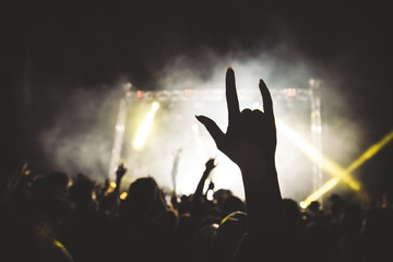 Hands raised by the crowd at the concert