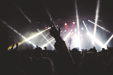 Hands raised by the crowd at the concert