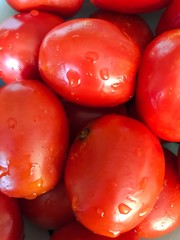 Tomatoes