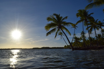 Fototapeta na wymiar island of boipeba, cairu, bahia, brazil, a paradise on earth