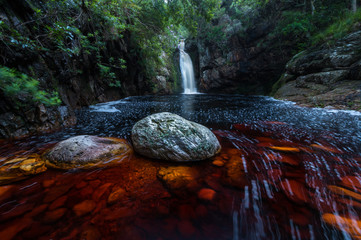 River in forest garden