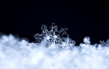 snowflake in the snow, winter