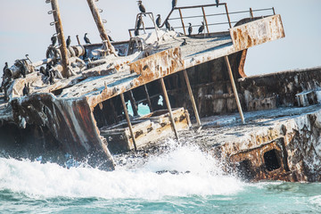 Rusted shipwreck on the shore with crashing waves and Cape Cormorant birds.