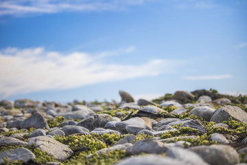 Pebbles on a beach on a warm summers day.