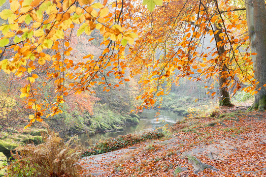 Autumn in Wharfadale