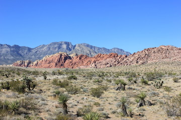 Steppe und rote Berge im Hintergrund