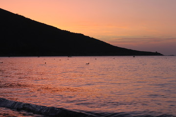 Seagulls swimming on a calm sea during the sunset