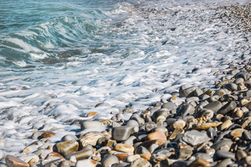 Serene waves lapping over petals on a beach.