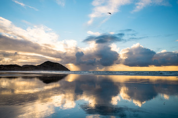 The beautiful Wharariki Beach with famous rocks. Sunset scene golden light and silhouette. Nelson, South Island, New Zealand.