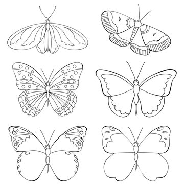  book coloring butterfly, set