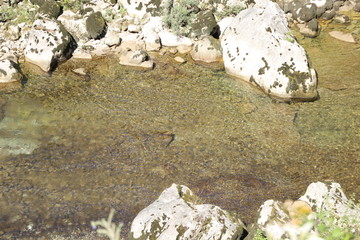 Río Cares