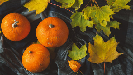 Thanksgiving background with autumn maple leaves and orange pumpkins with copy space