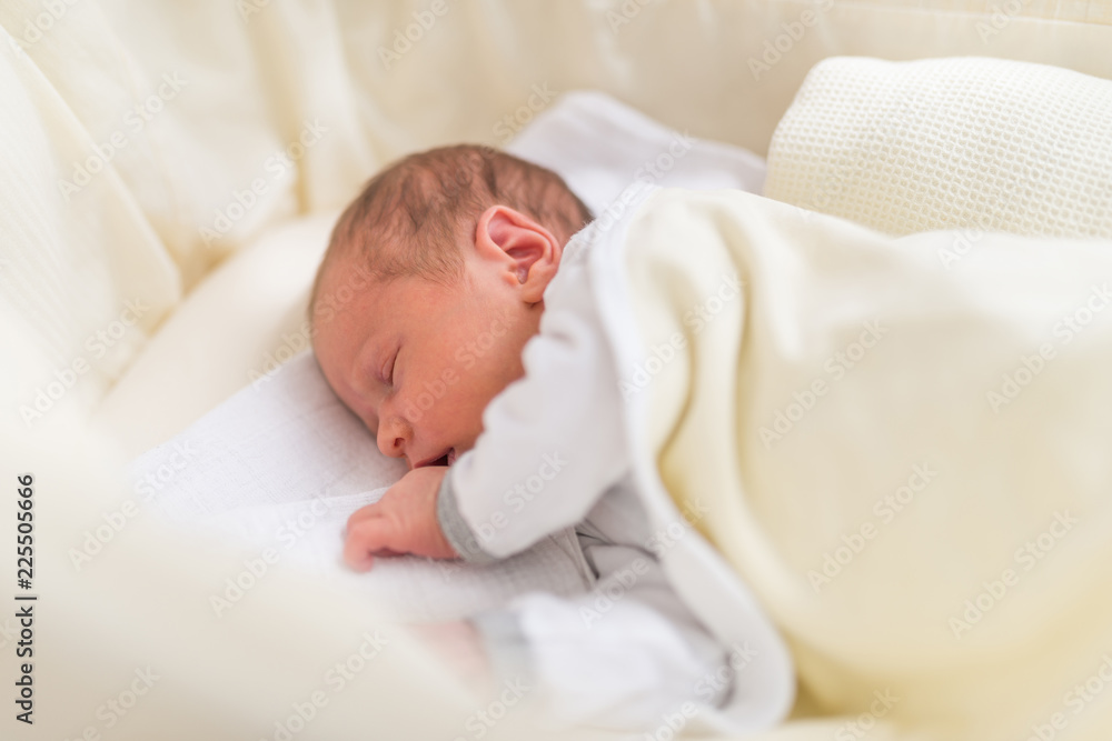 Canvas Prints sweet one month old newborn baby girl is sleeping