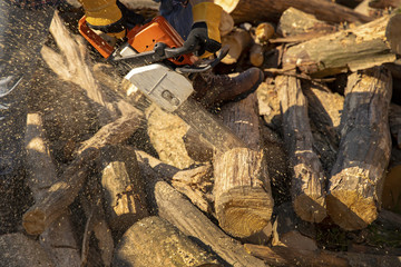 The worker works with a chainsaw. Chainsaw close up. Woodcutter saws tree with chainsaw on sawmill. Chainsaw in action cutting wood. Man cutting wood with saw, dust and movements.