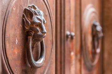 Old wooden Door With Lion Handle. Italy - obrazy, fototapety, plakaty
