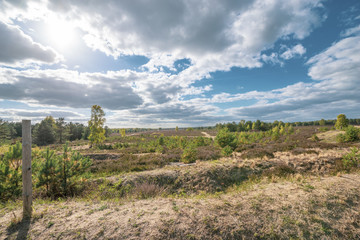 Kyritz-Ruppiner Heide, Landschaft am Tag