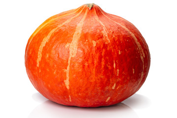 One orange pumpkin