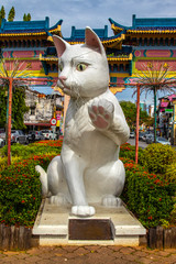 Kuching City Cat