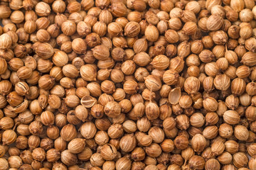 Background of dried coriander seeds