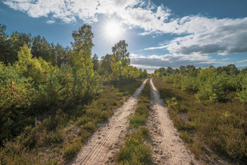 Kyritz-Ruppiner Heide, Landschaft am Tage, Wanderweg