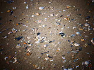 texture, water, sand, beach, abstract, sea, wet, pattern, nature, rain, surface, drop, shells, drops, coast, glass, textured, stone, shore, wallpaper, macro, raindrops, shell, liquid, white