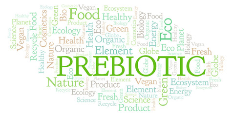Fototapeta premium Prebiotic word cloud.