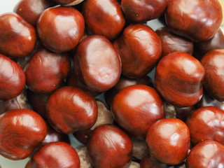 Fall came and chestnuts spilled