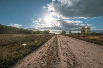 Kyritz-Ruppiner Heide, Landschaft am Tage, Wanderweg