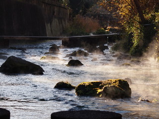 朝靄漂う水辺