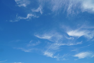 Obraz premium 秋の空