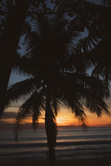 Fototapeta na wymiar Silhouette of palm tree over beautiful tropic sunset at the beach in Thailand