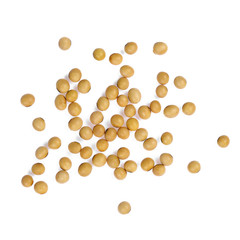 soybean isolated on white background, top view
