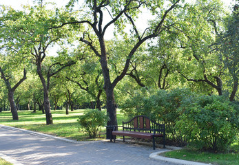 Place to rest in the park.
