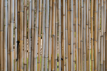 background with bamboo