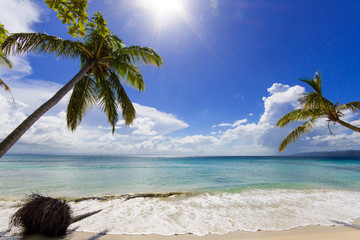 Cayo Levantado: Antillen, Karibik, Ferien, Tourismus, Sommer, Sonne, Strand, Auszeit, Meer, Glück,...