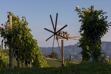 scenery vineyard along the south Styrian vine route named suedsteirische weinstrasse in Austria in autumn, Europe