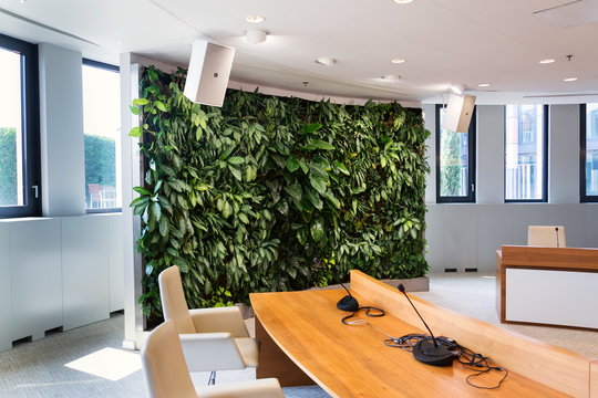 Living Green Wall, Vertical Garden Indoors With Flowers And Plants Under Artificial Lighting In Meeting Boardroom, Modern Office Building