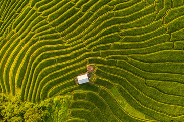 Small house and rice terraces field at pabongpaing village rice terraces Mae-Jam Chiang mai, Thailand
