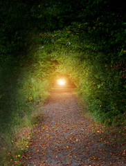 Obraz premium Tunel in nature heaven