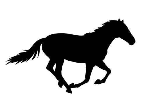 vector, black silhouette horse running, on white background