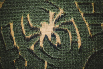 Corn Maze Farm in New Jersey