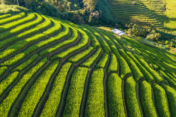 Small house and rice terraces field at pabongpaing village rice terraces Mae-Jam Chiang mai,...