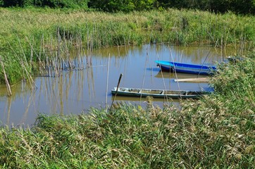湿地に囲まれたボート