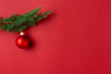 Evergreen branch with red Christmas ball on red background. New Year greeting card with place for text.