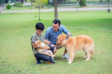 Fototapeta premium Two brothers play with golden retriever dog and puppy in the garden.