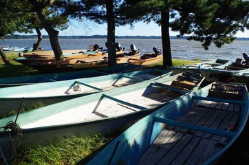 湖畔のボート群と木々