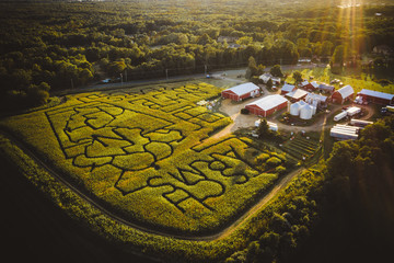 Corn Maze Farm in New Jersey