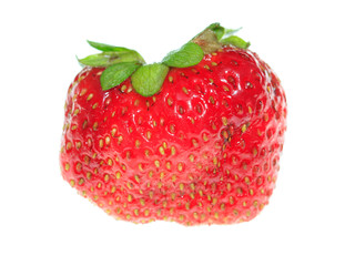 One ripe strawberry on a white background